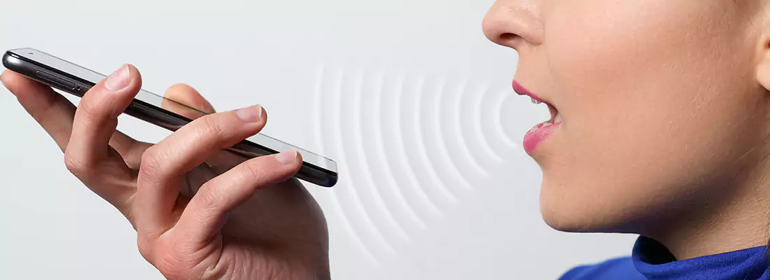 Residential and Commercial Voice Recognition Access Solutions in Dubai, UAE